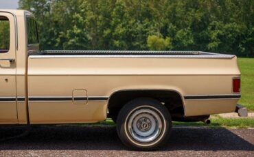 Chevrolet-C-10-1985-Standard-Cab-Pickup-36