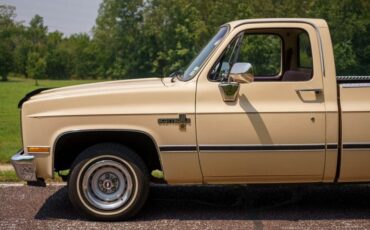 Chevrolet-C-10-1985-Standard-Cab-Pickup-37