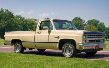 Chevrolet-C-10-1985-Standard-Cab-Pickup