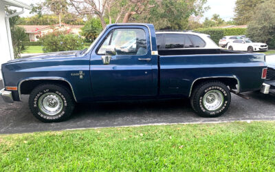 Chevrolet C-10 1985 Standard Cab Pickup