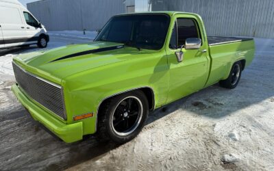 Chevrolet C-10 1985 Standard Cab Pickup