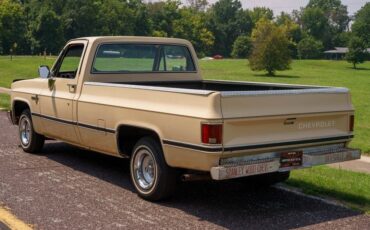 Chevrolet-C-10-1985-Standard-Cab-Pickup-5