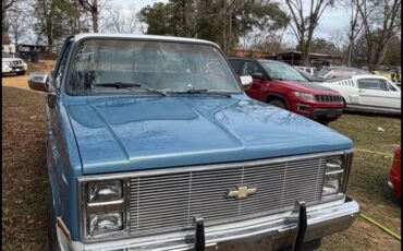 Chevrolet-C-10-1986-2