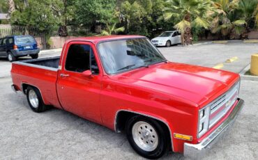 Chevrolet-C-10-1987-Pickup-Truck-1