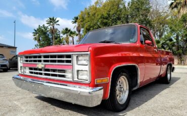 Chevrolet-C-10-1987-Pickup-Truck-3