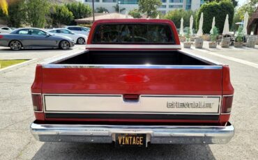 Chevrolet-C-10-1987-Pickup-Truck-6