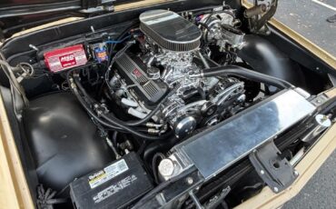 Chevrolet-C-10-502-V8-aluminum-heads-ac-700r4-Wilwood-brakes-air-1968-14