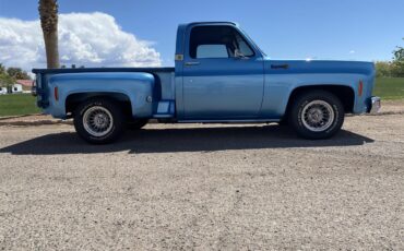 Chevrolet-C10-1974-Nassau-Blue-Blue-13