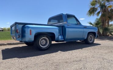 Chevrolet-C10-1974-Nassau-Blue-Blue-14