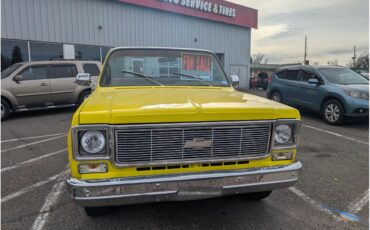 Chevrolet-C10-1975-YellowWhite-Tan-1