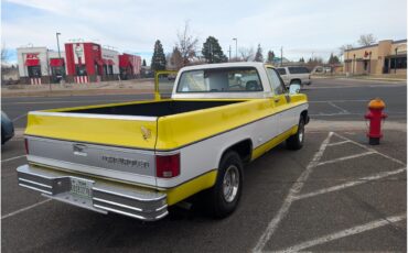 Chevrolet-C10-1975-YellowWhite-Tan-2