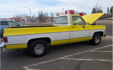 Chevrolet-C10-1975-YellowWhite-Tan-9
