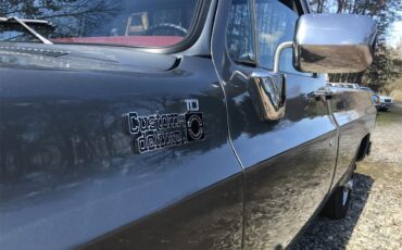 Chevrolet-C10-1980-Gray-Red-1