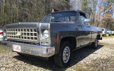 Chevrolet-C10-1980-Gray-Red