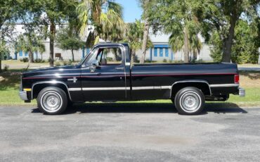 Chevrolet-C10-1983-Pickup-Truck-10