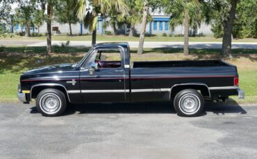Chevrolet-C10-1983-Pickup-Truck-11