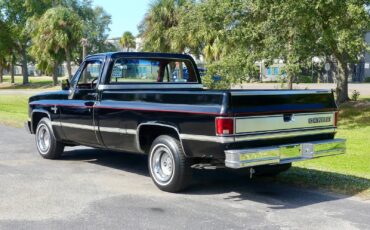 Chevrolet-C10-1983-Pickup-Truck-13