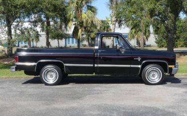 Chevrolet-C10-1983-Pickup-Truck-2