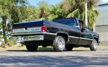 Chevrolet-C10-1983-Pickup-Truck-21