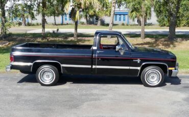 Chevrolet-C10-1983-Pickup-Truck-22