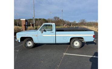 Chevrolet-C10-1987-Blue-Black-10