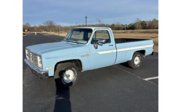 Chevrolet-C10-1987-Blue-Black-11