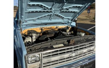 Chevrolet-C10-1987-Blue-Black-24