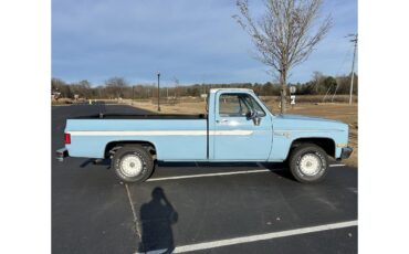 Chevrolet-C10-1987-Blue-Black