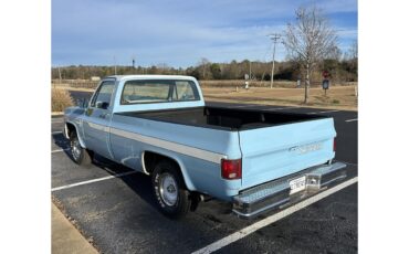 Chevrolet-C10-1987-Blue-Black-9