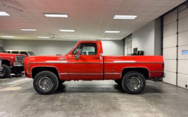 Chevrolet-CK-Pickup-1500-1977-Standard-Cab-Pickup