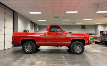 Chevrolet-CK-Pickup-1500-1977-Standard-Cab-Pickup-4