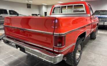 Chevrolet-CK-Pickup-1500-1977-Standard-Cab-Pickup-5