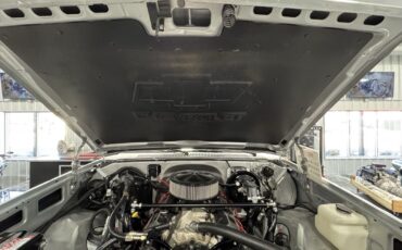 Chevrolet-CK-Pickup-1500-1985-12