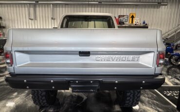 Chevrolet-CK-Pickup-1500-1985-2