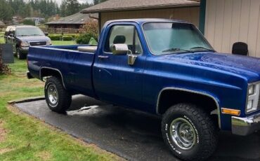 Chevrolet-CK-Pickup-1500-1986-Standard-Cab-Pickup-17