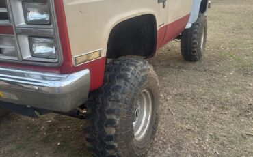 Chevrolet-CK-Pickup-1500-1986-Standard-Cab-Pickup