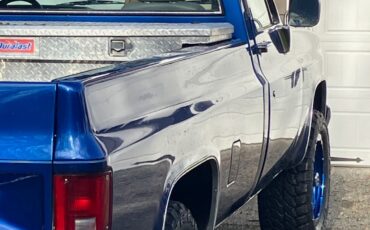 Chevrolet-CK-Pickup-1500-1986-Standard-Cab-Pickup-2