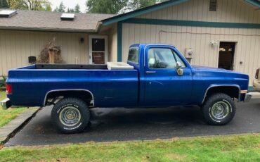 Chevrolet-CK-Pickup-1500-1986-Standard-Cab-Pickup