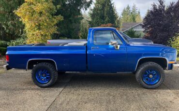 Chevrolet-CK-Pickup-1500-1986-Standard-Cab-Pickup-4