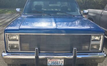 Chevrolet-CK-Pickup-1500-1986-Standard-Cab-Pickup-5