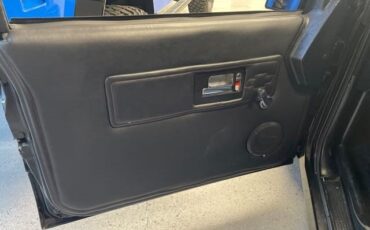 Chevrolet-CK-Pickup-1500-1994-6