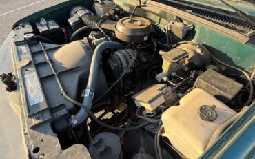 Chevrolet-CK-Pickup-1500-1995-Standard-Cab-Pickup-19