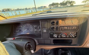 Chevrolet-CK-Pickup-1500-1995-Standard-Cab-Pickup-2