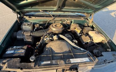 Chevrolet-CK-Pickup-1500-1995-Standard-Cab-Pickup-20