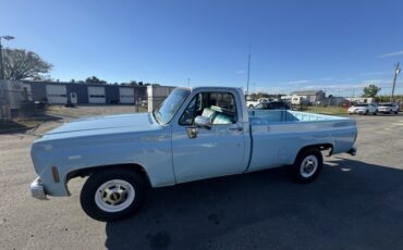 Chevrolet-CK-Pickup-2500-1977-Pickup-Truck-11