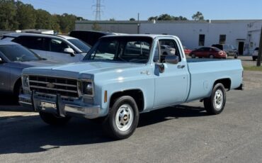 Chevrolet-CK-Pickup-2500-1977-Pickup-Truck