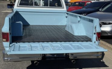 Chevrolet-CK-Pickup-2500-1977-Pickup-Truck-3