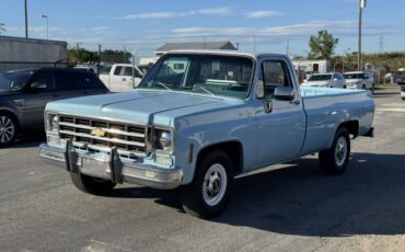 Chevrolet-CK-Pickup-2500-1977-Pickup-Truck-4