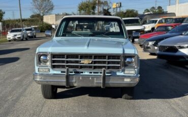 Chevrolet-CK-Pickup-2500-1977-Pickup-Truck-5