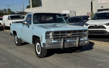 Chevrolet-CK-Pickup-2500-1977-Pickup-Truck-6